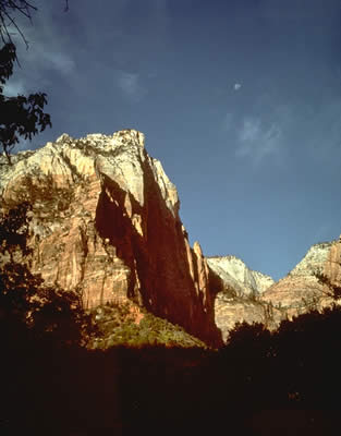 Moon Over Zion