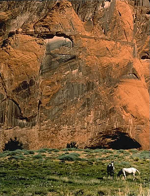 White Horse Canyon