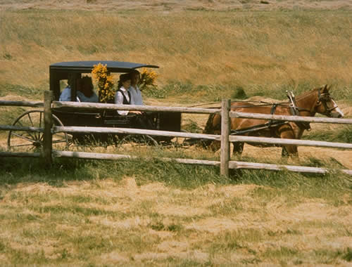 Wedding On Naushon Island