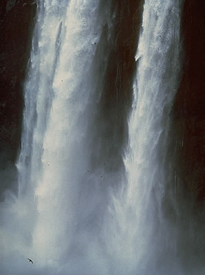Great Falls At Iguacu
