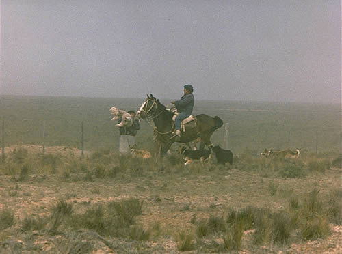 Gauchos With A Lagging Lamb