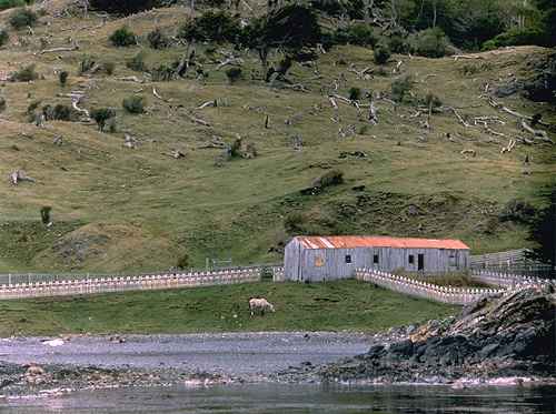 Forlorn Horse, Beagle Channel