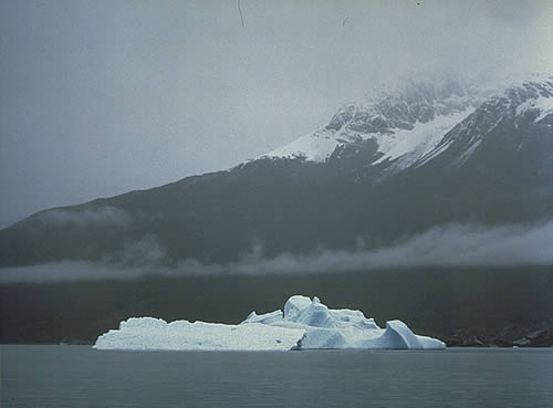 Iceberg, Lago Argentina