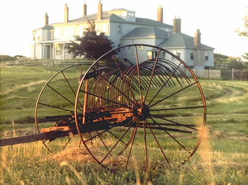 Hay Rake, Mansion House Field