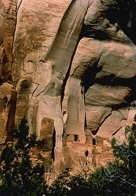 Edge Of Betatakin Cave