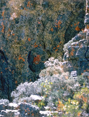 Shining Hillside, With Lichens