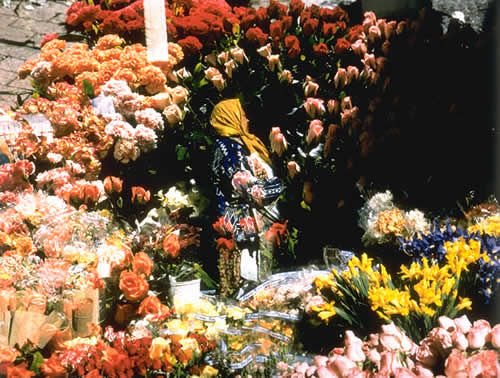 Flower Seller, Capetown