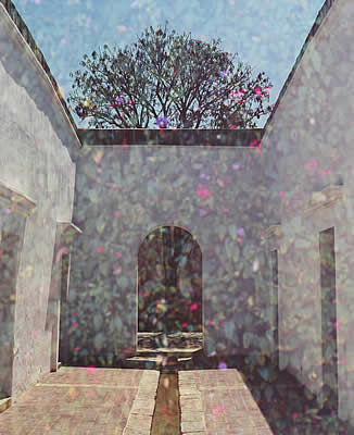 tree at the end of the courtyard