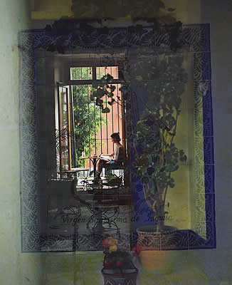 girl framed in a window, reading