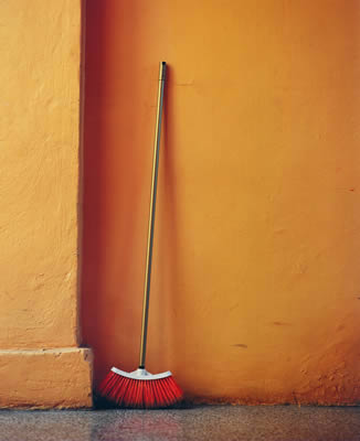 the orange broom