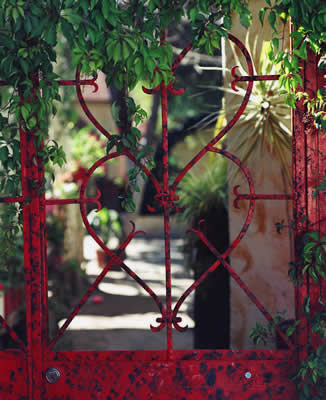 gate to the garden