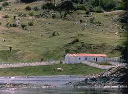 Photo - Crooked Horse Beagle Channel, Tierra del Fuego